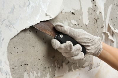 Expert Wallpaper Removal